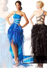 Blue Leopard and Black